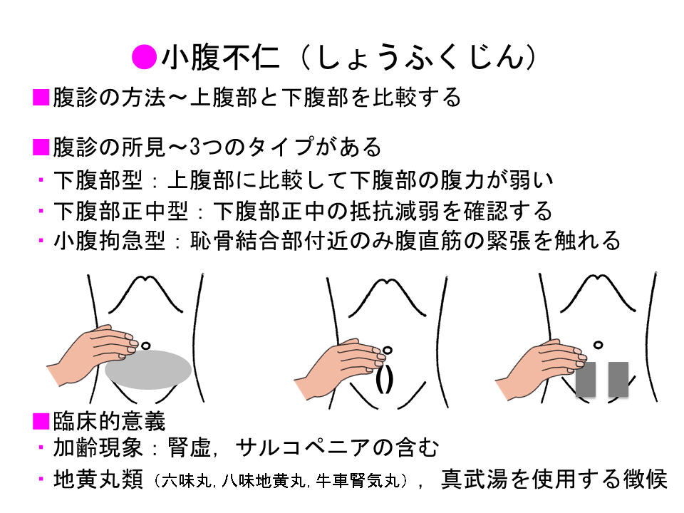 第33回 和漢医薬学会学術大会「市民公開講座」 和漢医薬学会